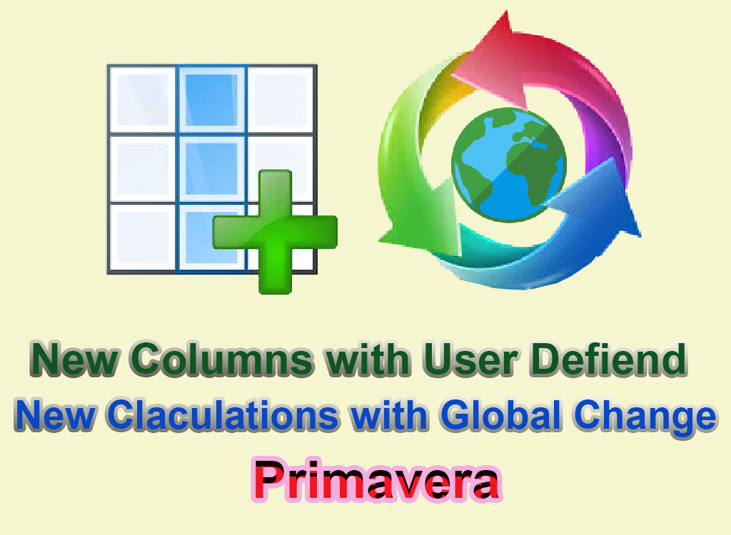 user defined and global change in primavera