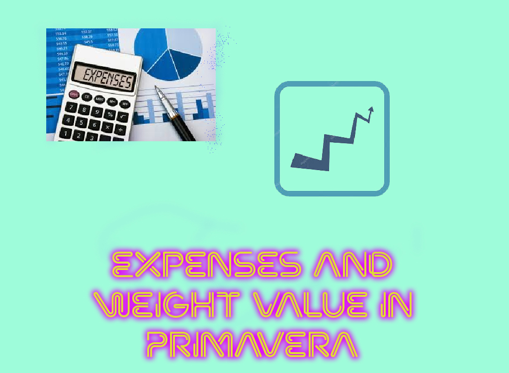 Expenses and Weight Value in Primavera