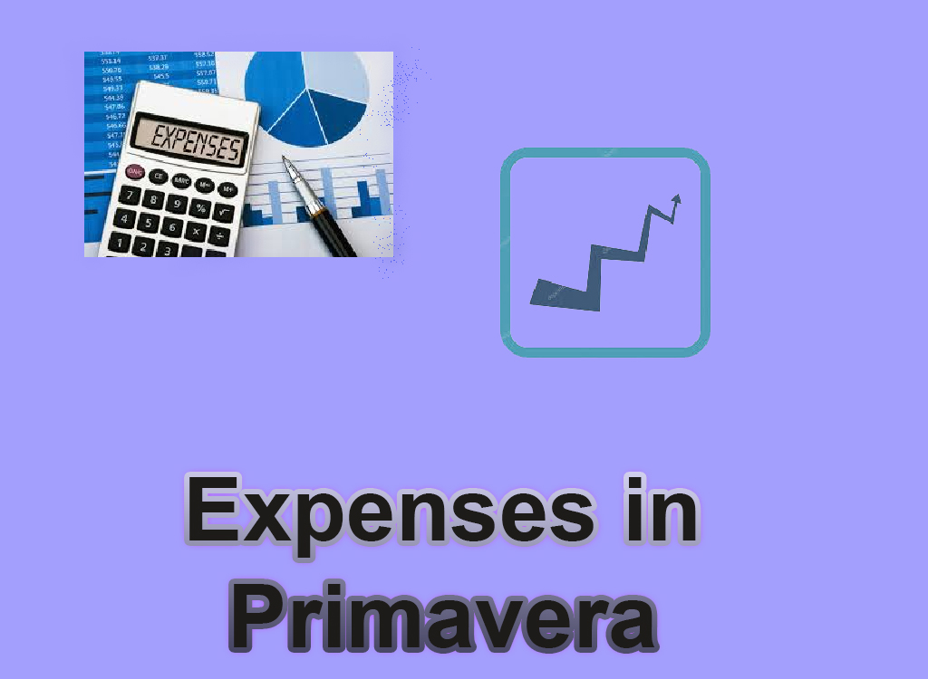 Expenses in Primavera
