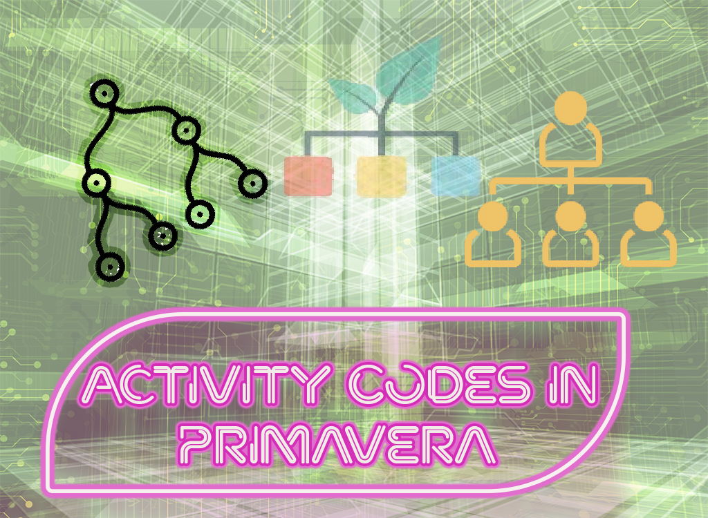 Activity Codes in Primavera