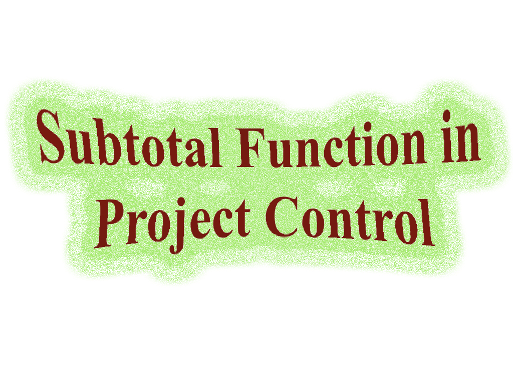Subtotal Function in Project Control